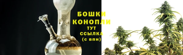 крисы Михайловск