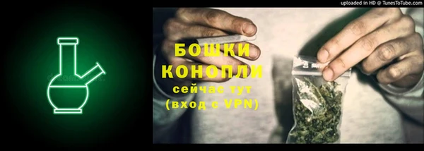 эйфоретик Михайлов
