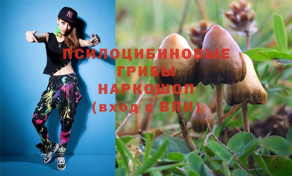 крисы Михайловск
